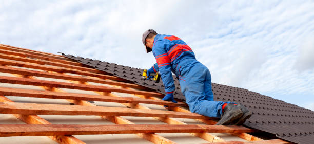 Best Asphalt Shingle Roofing  in Pontiac, IL